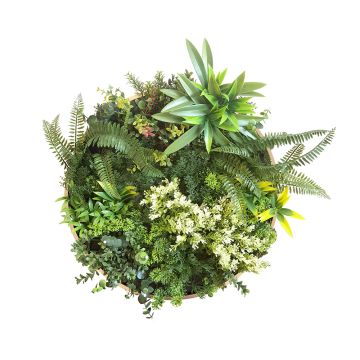 Artificial Green Walls - Circular Framed Panel - Juno